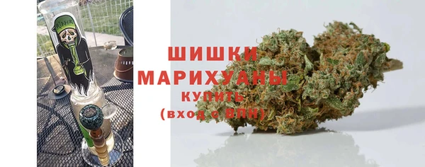 трава Горно-Алтайск