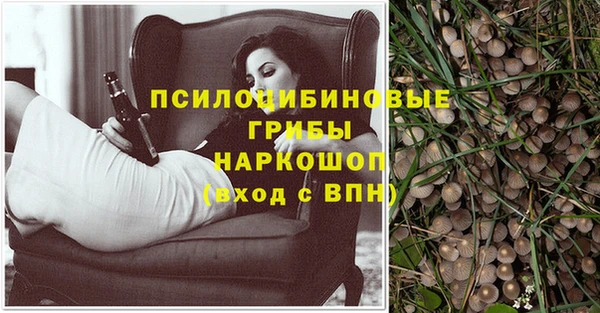 трава Горно-Алтайск