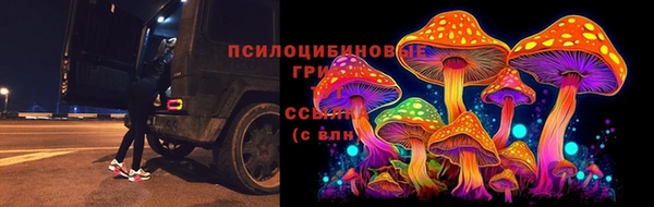 не бодяженный Снежногорск
