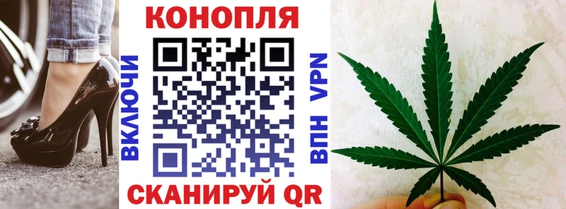 ссылка на мегу ONION Петровск Шишки марихуана планчик продажа наркотиков